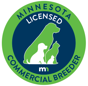 Minnesota License Commercial Breeder